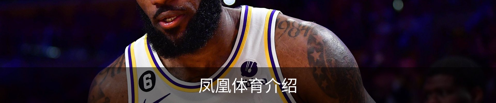 凤凰体育介绍